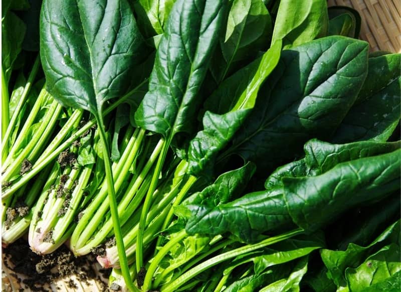 Verduras y hortalizas de otoño